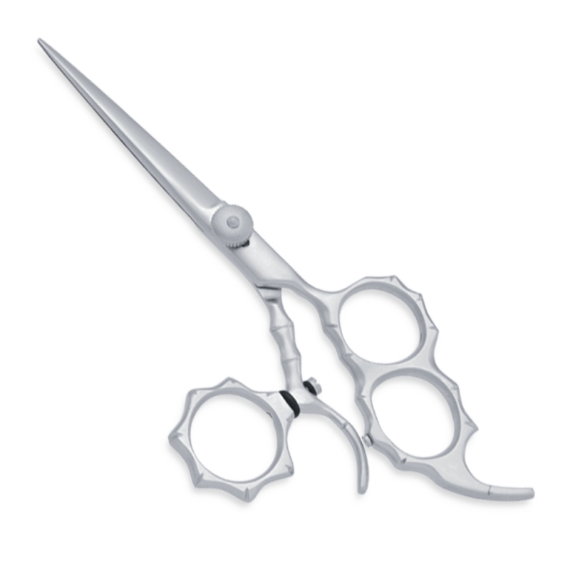 Professional Hair Cutting Scissors
